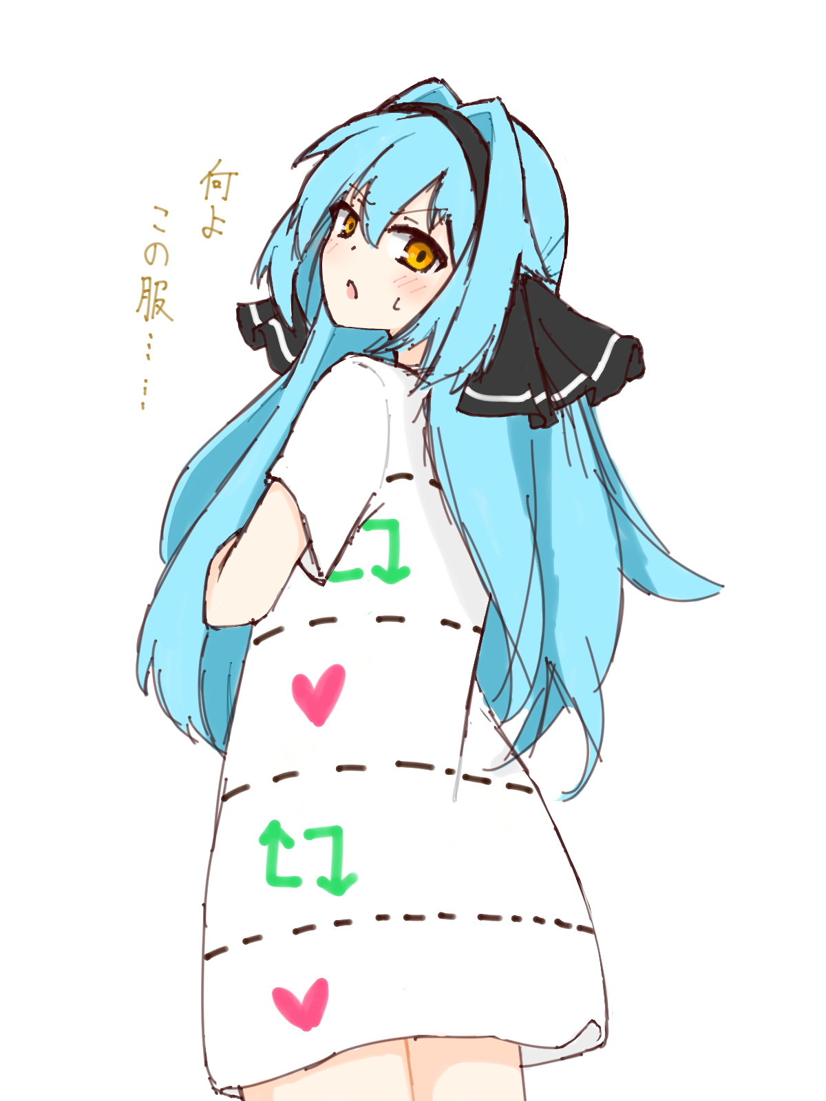 例の服を着せられた福音