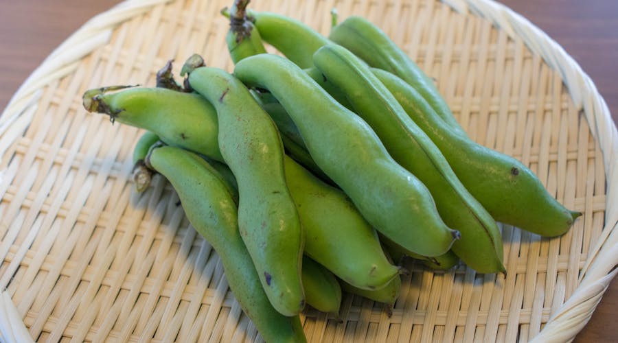 そら豆の薄皮は食べるべき？ゆでるのと焼くのはどっちがいい？そら豆の栄養のこと、調べてみました　～ミネラル編～