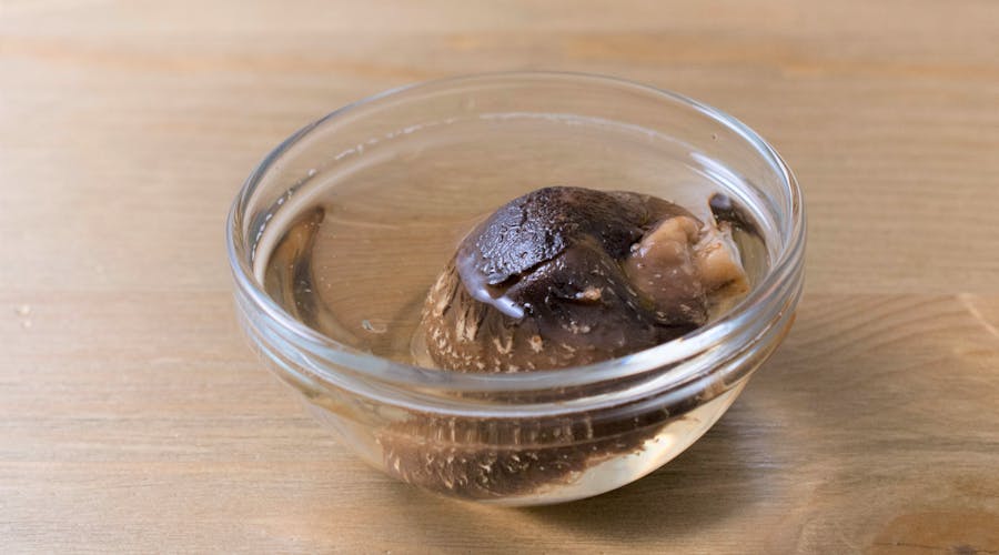 乾燥しいたけで手軽に栄養を摂取しよう！戻すときに気を付けておきたいこと