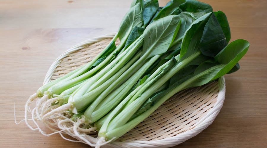 小松菜の栄養を無駄なく摂取！調理による栄養価の変化　～ミネラル編～
