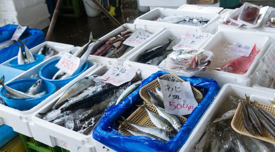 3月7日は魚の日！魚介に含まれる栄養や食事のポイントを解説