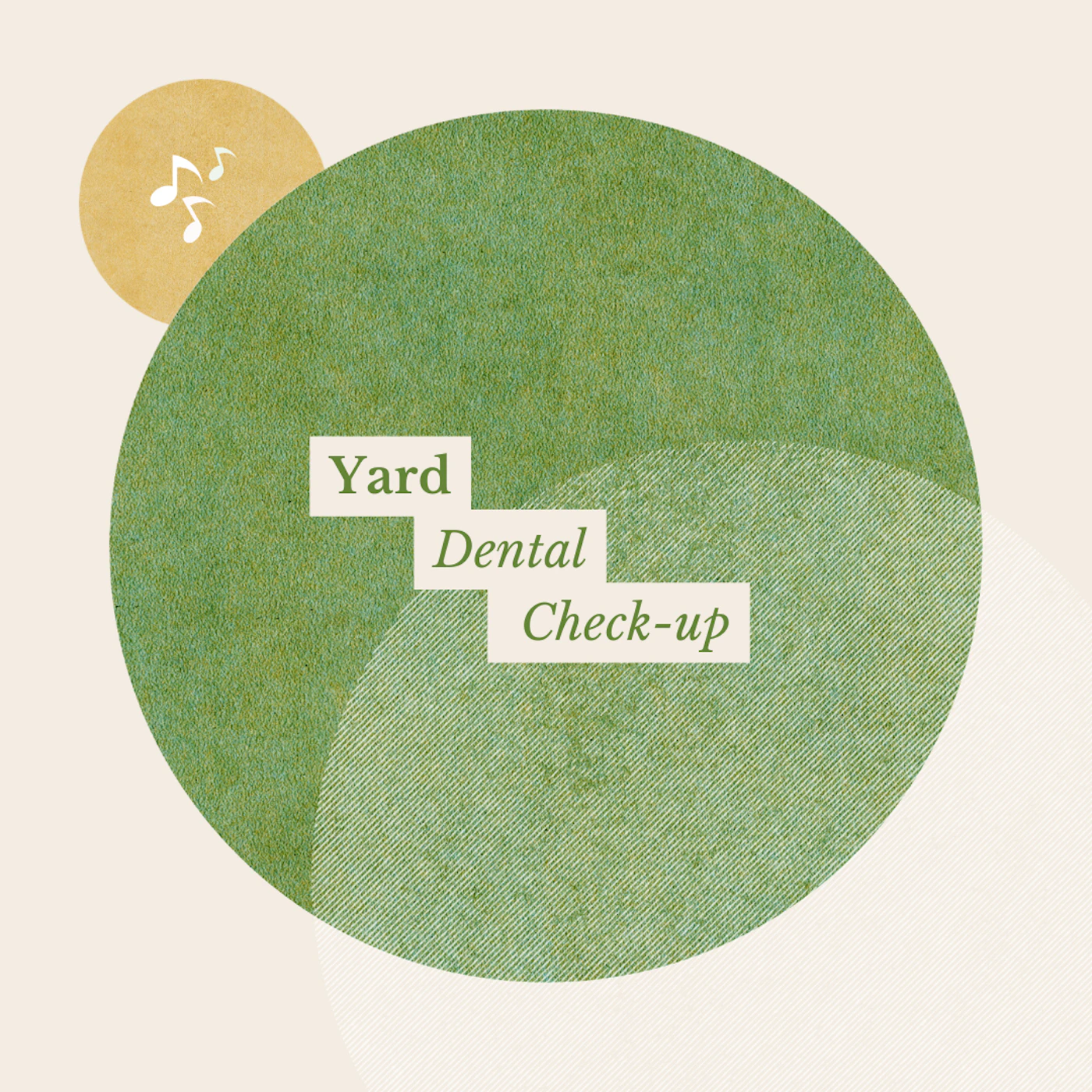 歯医者の定期検診って何をするの?メリット・費用・頻度について