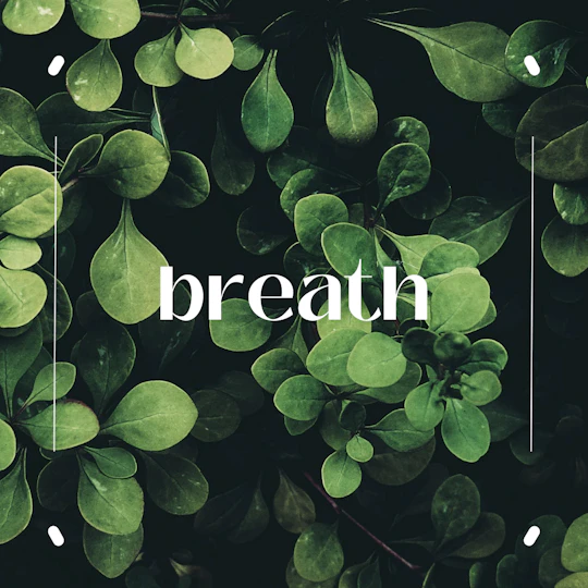 口臭予防のコツを歯医者が解説!原因を知って効果的に対策を