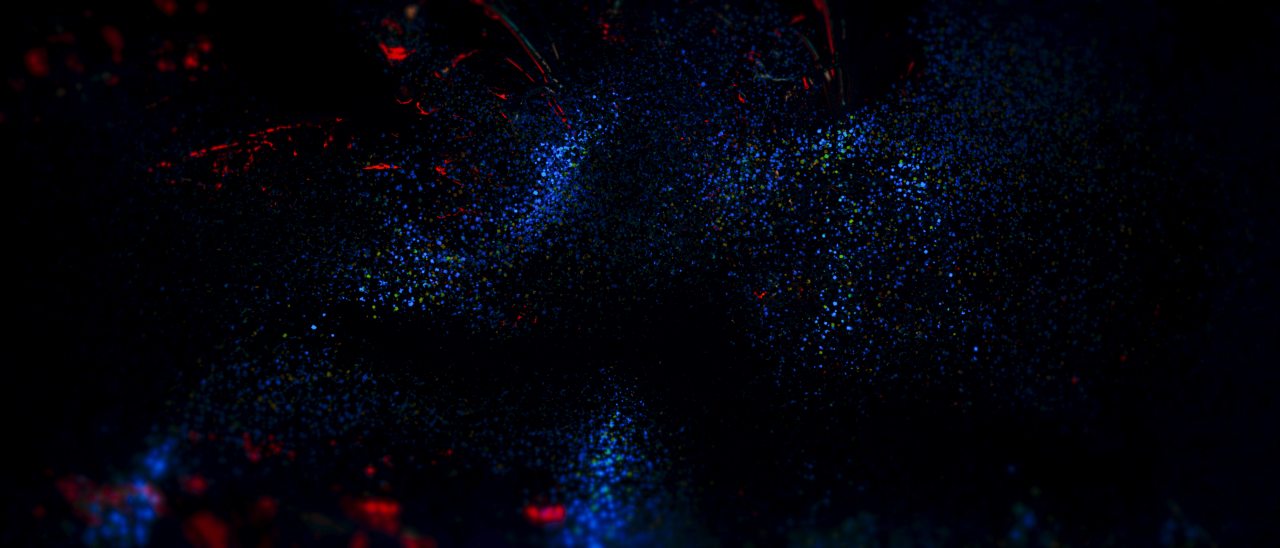 『Singularity Live Vol.4』 背景映像演出