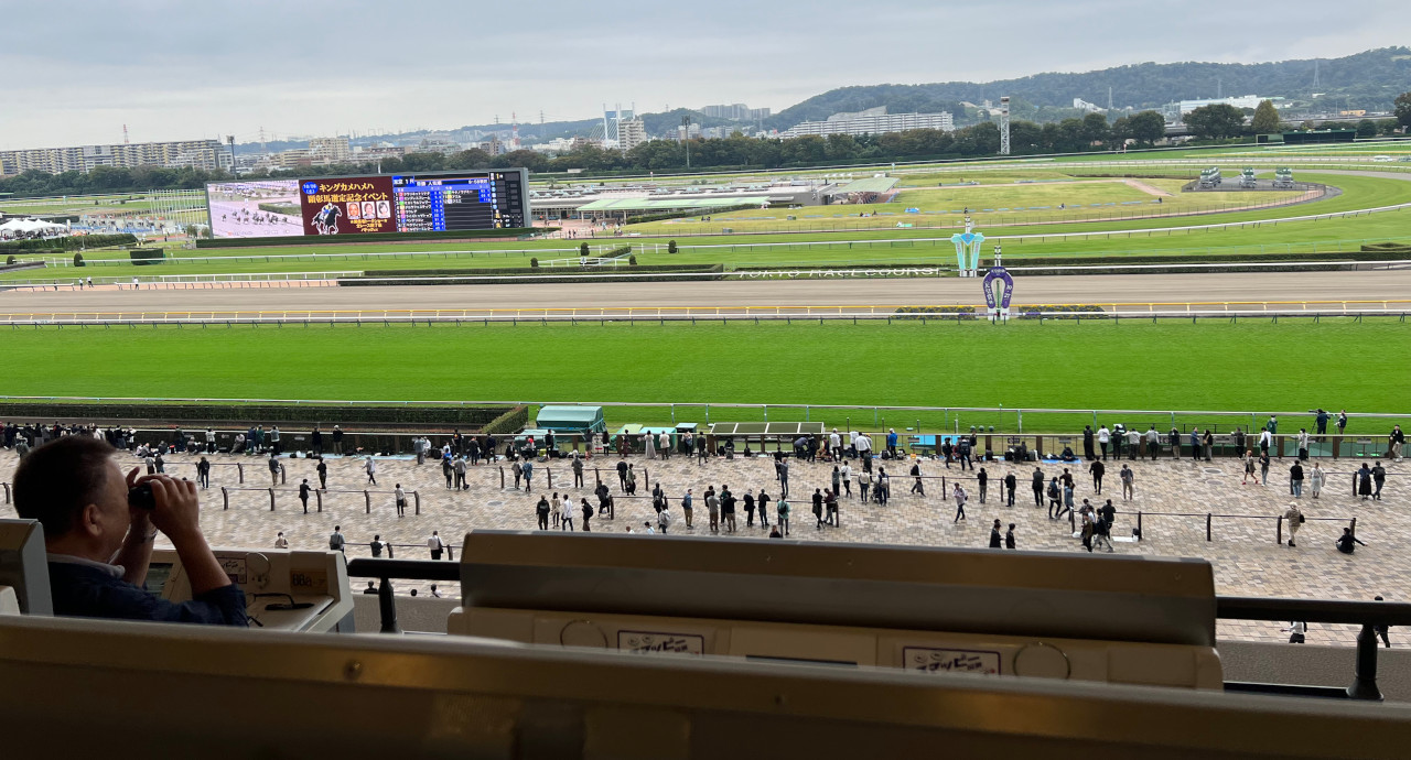 東京競馬場の5階指定席からの眺め