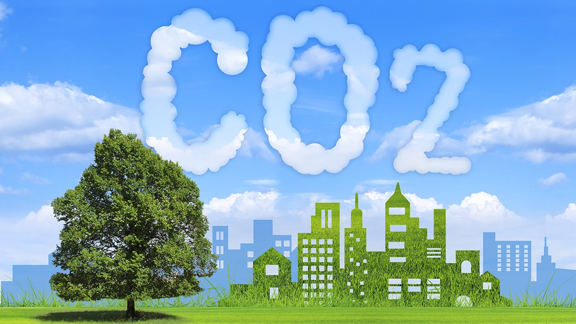 京都大学発・OOYOO、約3億円を調達──カーボンニュートラル実現を支えるCO2分離膜を実装へ
