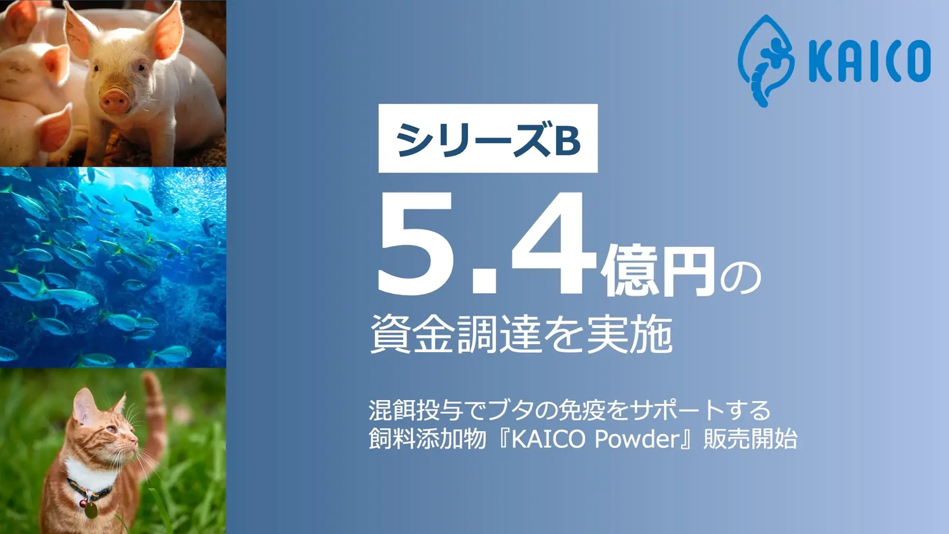 KAICO、シリーズBで総額5.4億円を調達ーー蚕由来の飼料添加物でアニマルヘルス分野へ本格参入