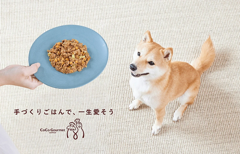 サービスイメージ