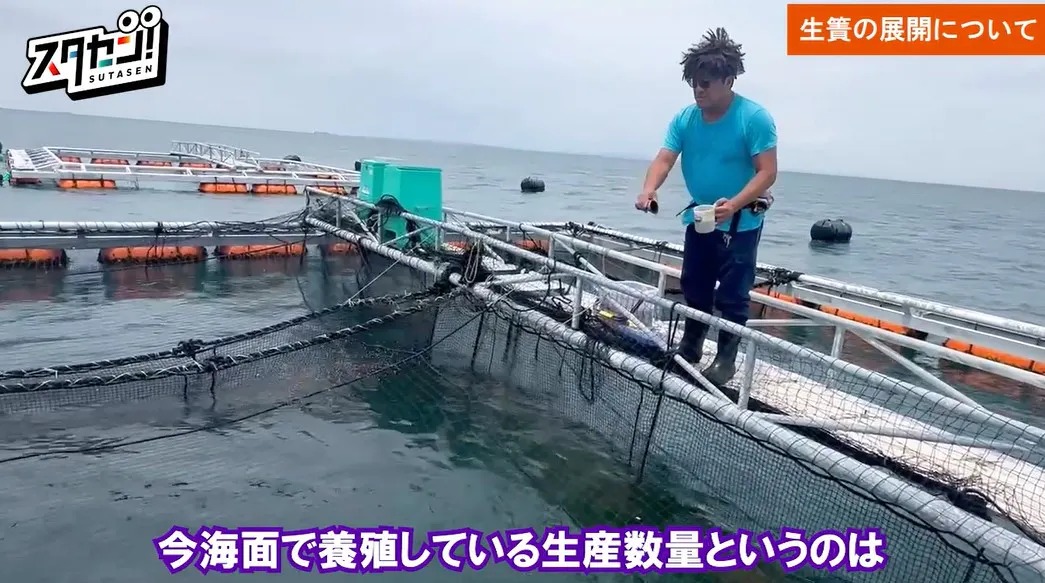 さかなドリーム海上生簀