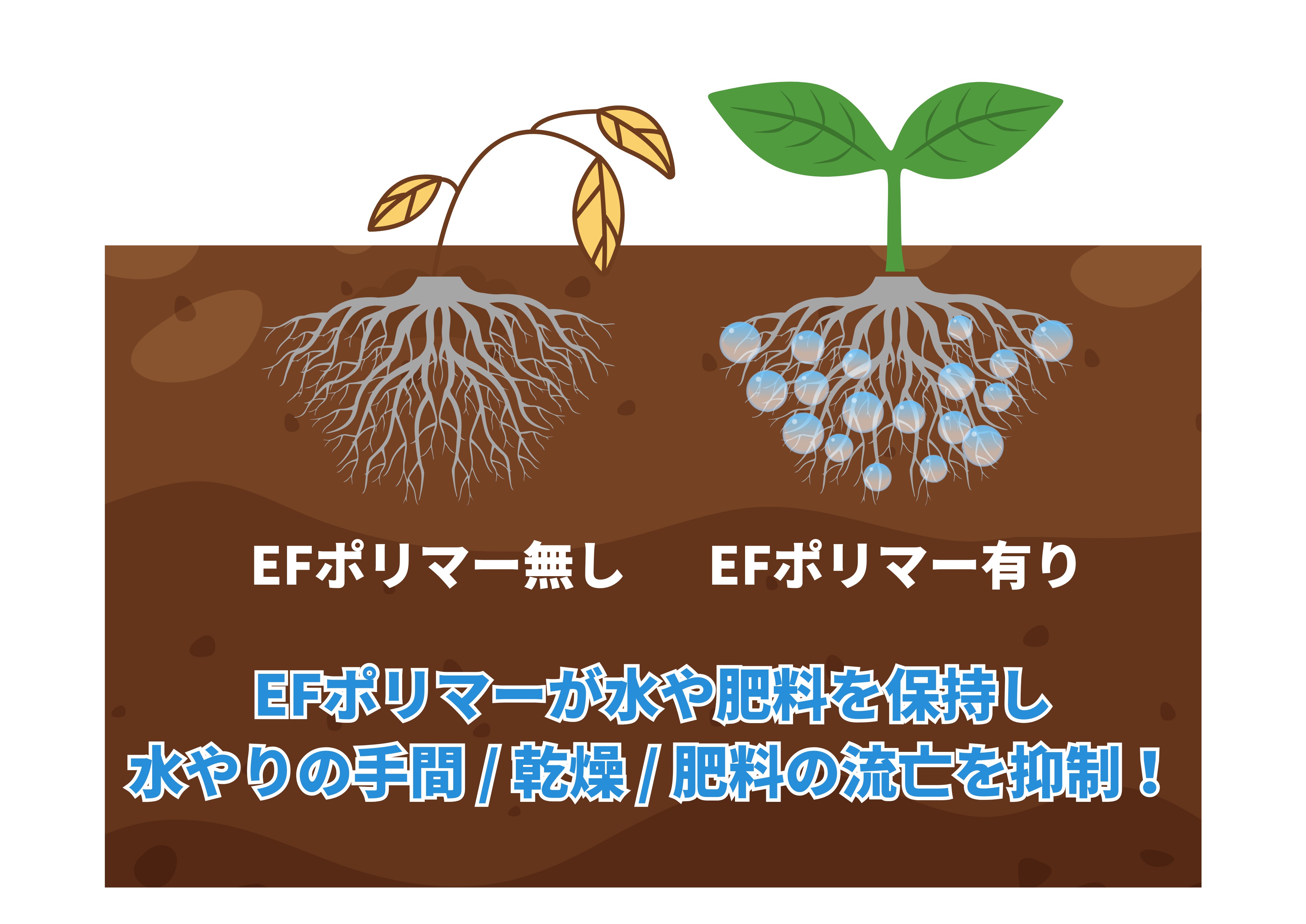完全生分解性の超吸水性ポリマー（SAP）、EFポリマー