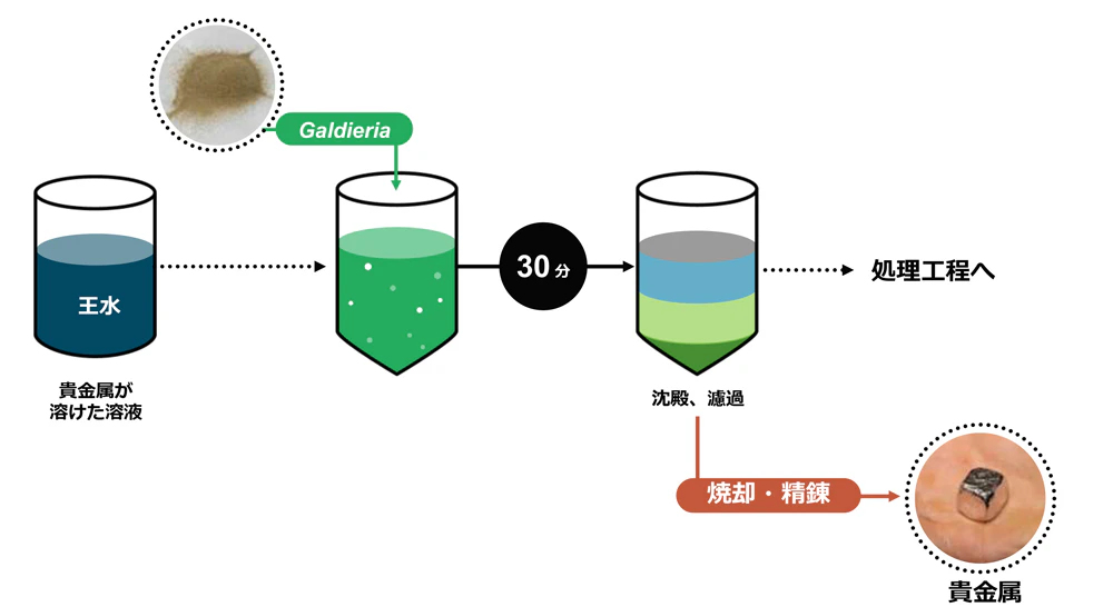 ガルデリアの金属吸着技術