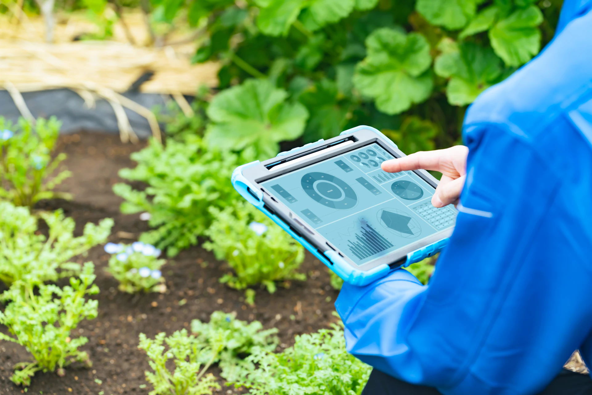 植物を活用した製品を開発するスタートアップ6選【2025年5月更新】