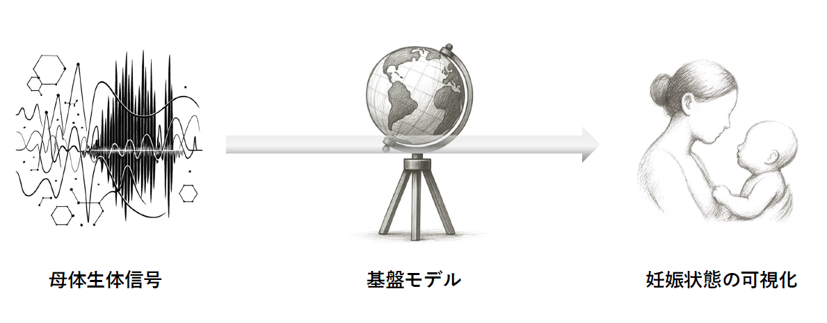 母体の時系列生体データ イメージ画像