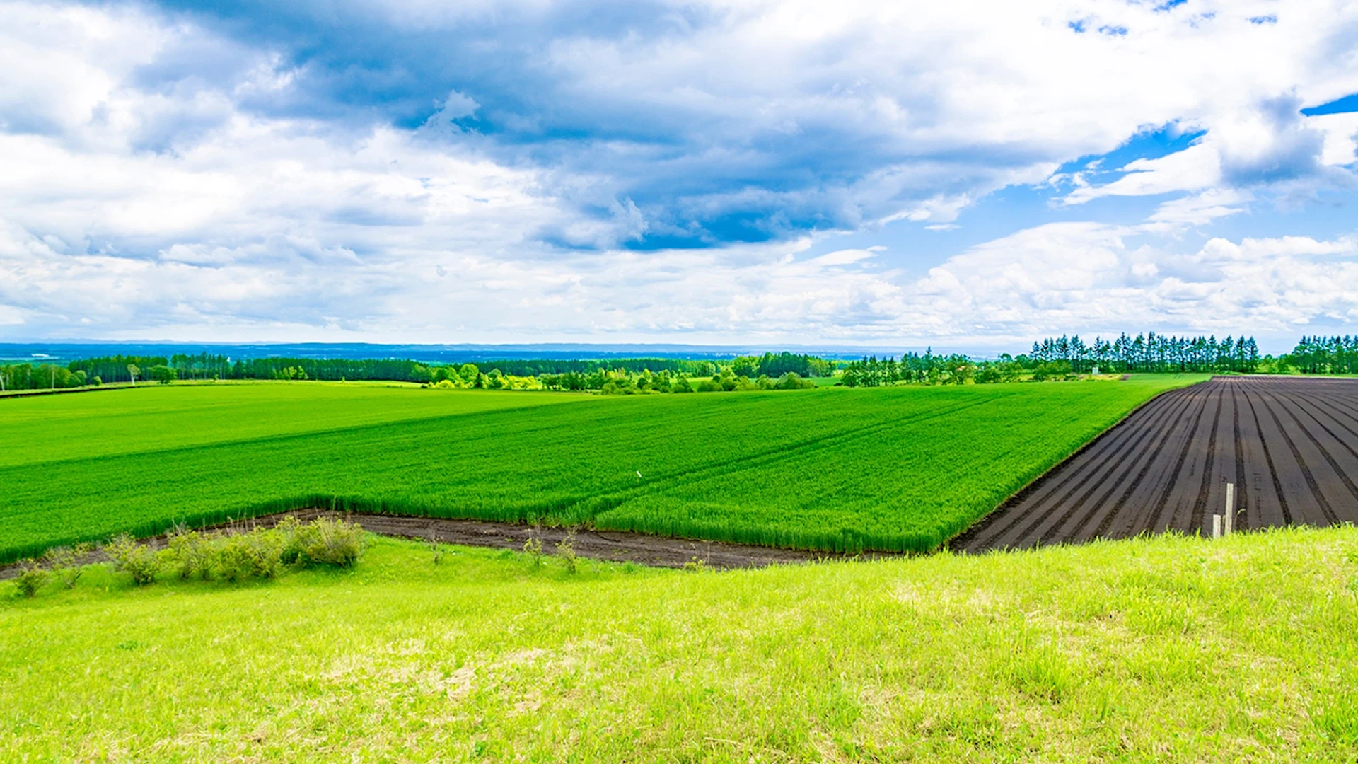 そら、約5億円調達──帯広市場との提携強化で“十勝から日本の地方創生”に挑む