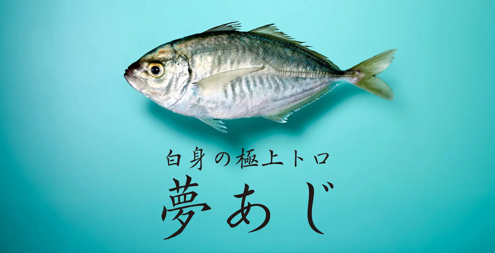 さかなドリーム、シリーズAラウンドで10億円を調達──「夢あじ」の量産体制を整備し、新魚種開発を加速へ