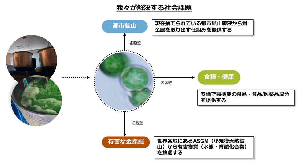 ガルデリアが取り組む社会課題
