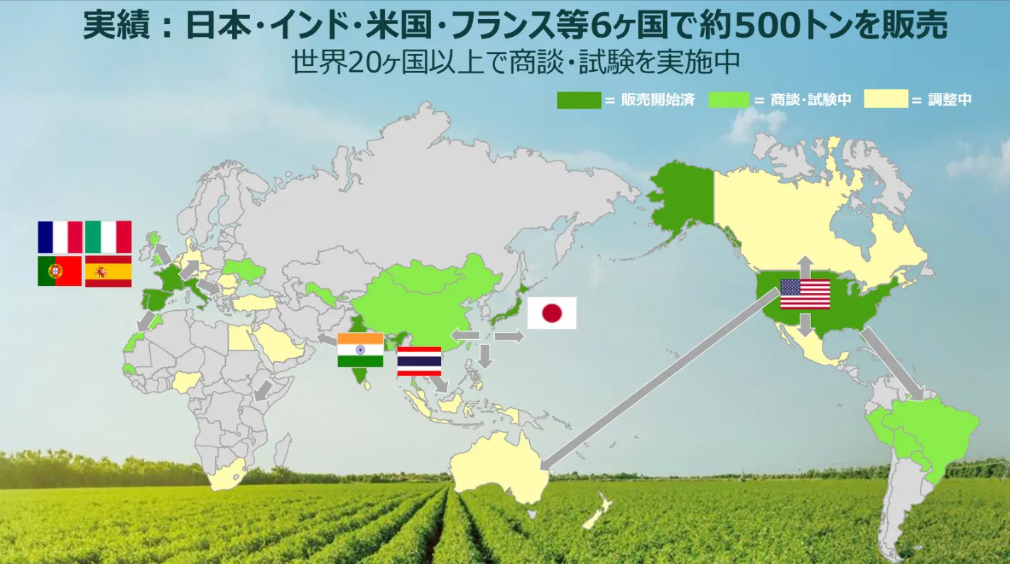 EF Polymerのグローバル展開状況