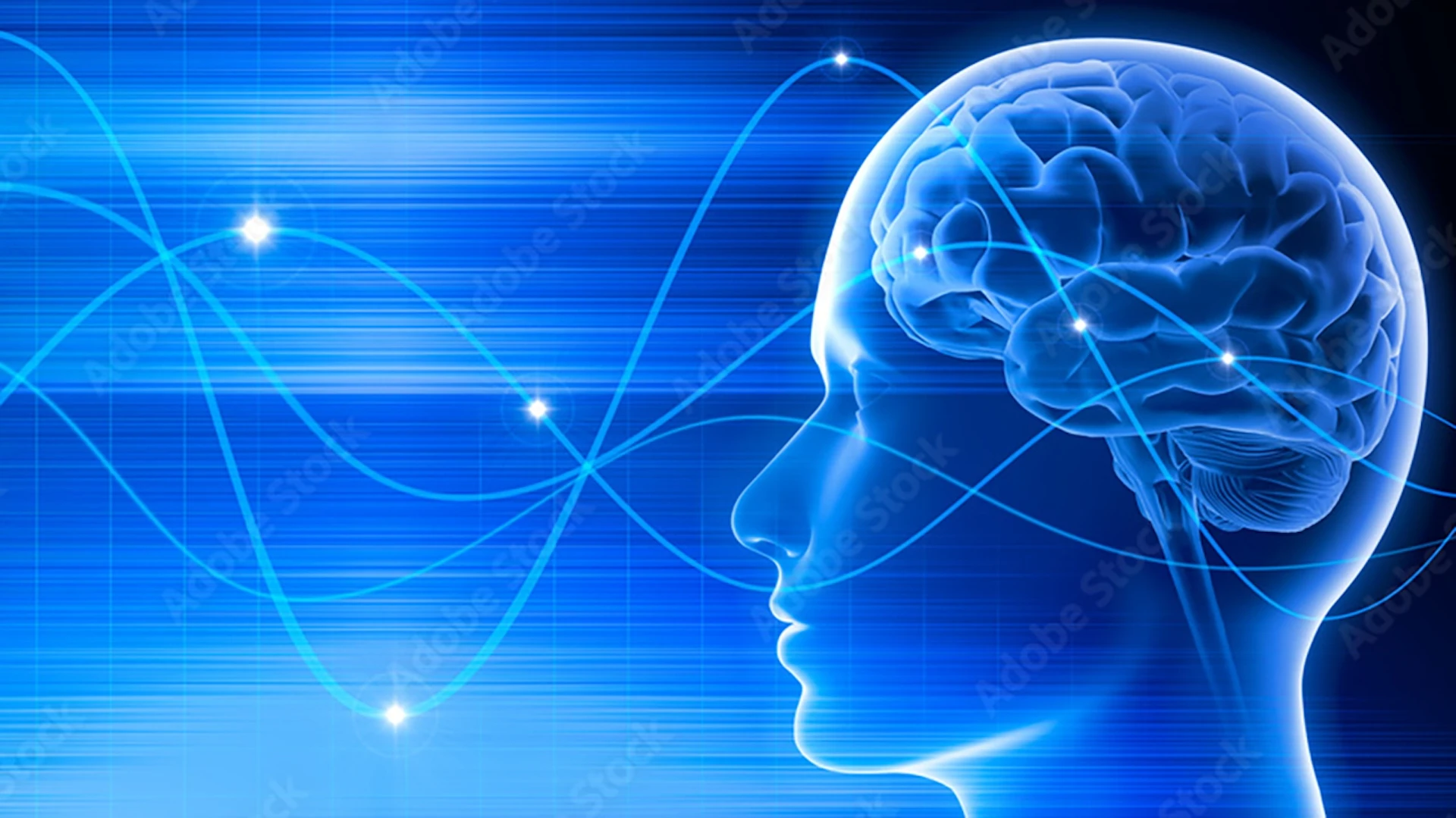 大阪大学発スタートアップJiMED、3.5億円を調達 ワイヤレス植込型BMIの実用化を加速