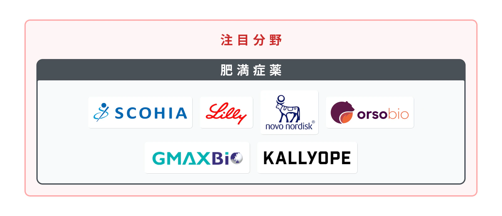 肥満症薬関連スタートアップ