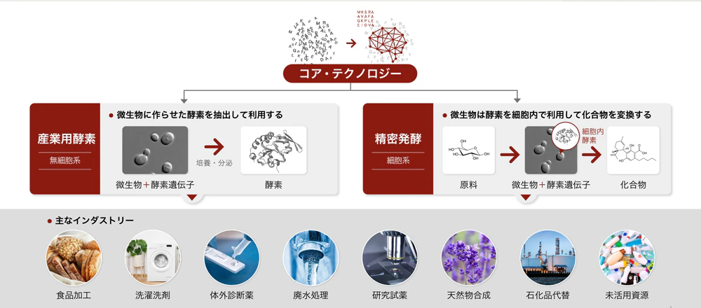 digzymeの開発技術
