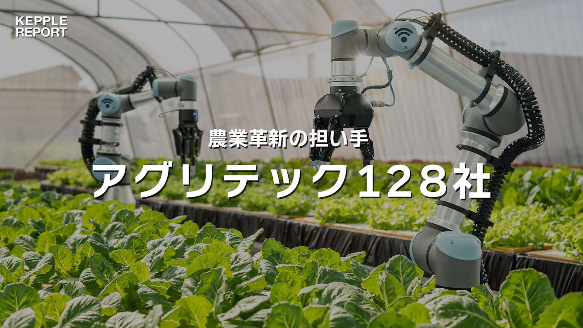 スマート農業の実現、アグリテック市場の現状と展望