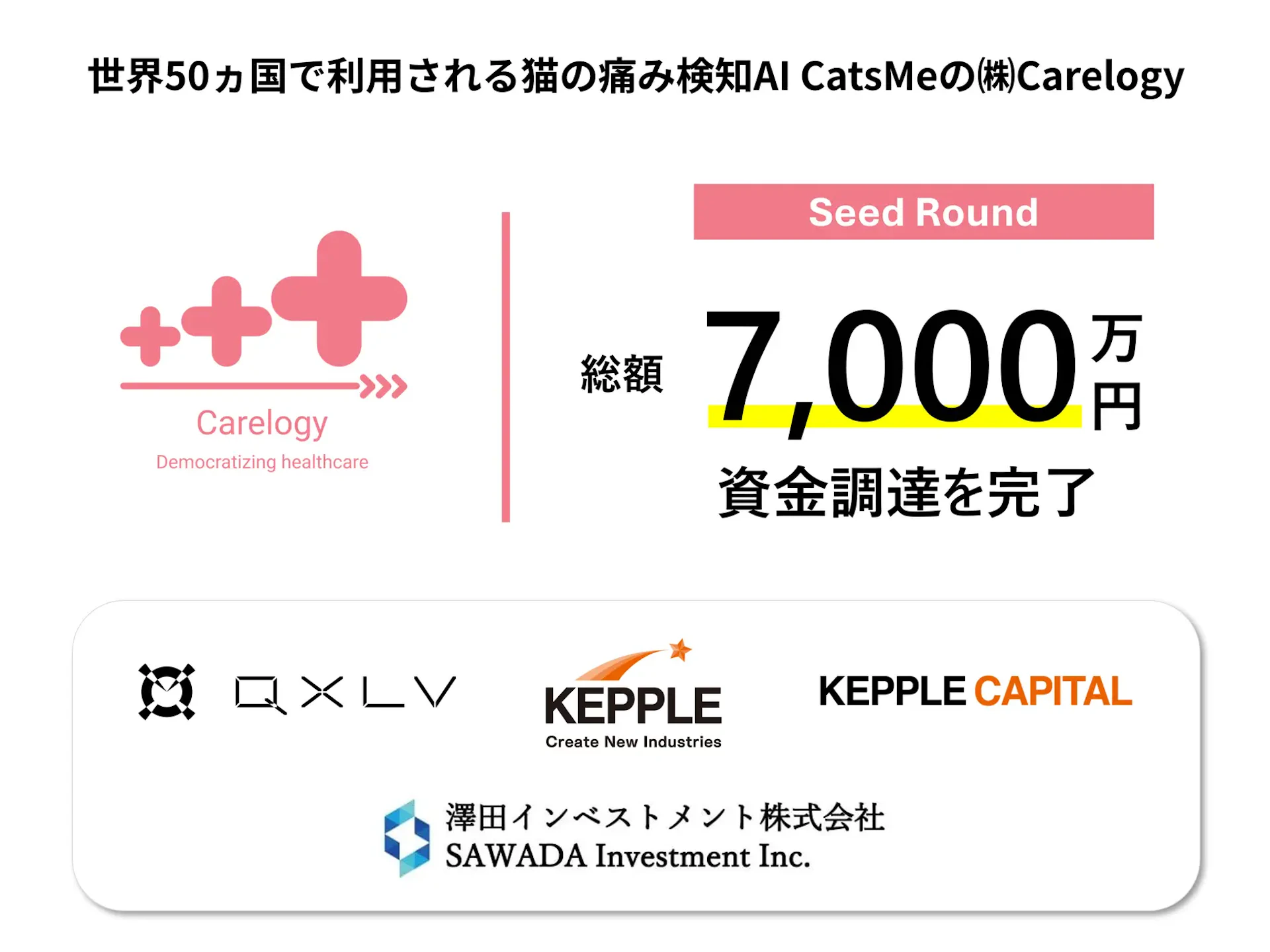 Carelogy、資金調達で猫専用痛み検知AIのグローバル展開加速へ