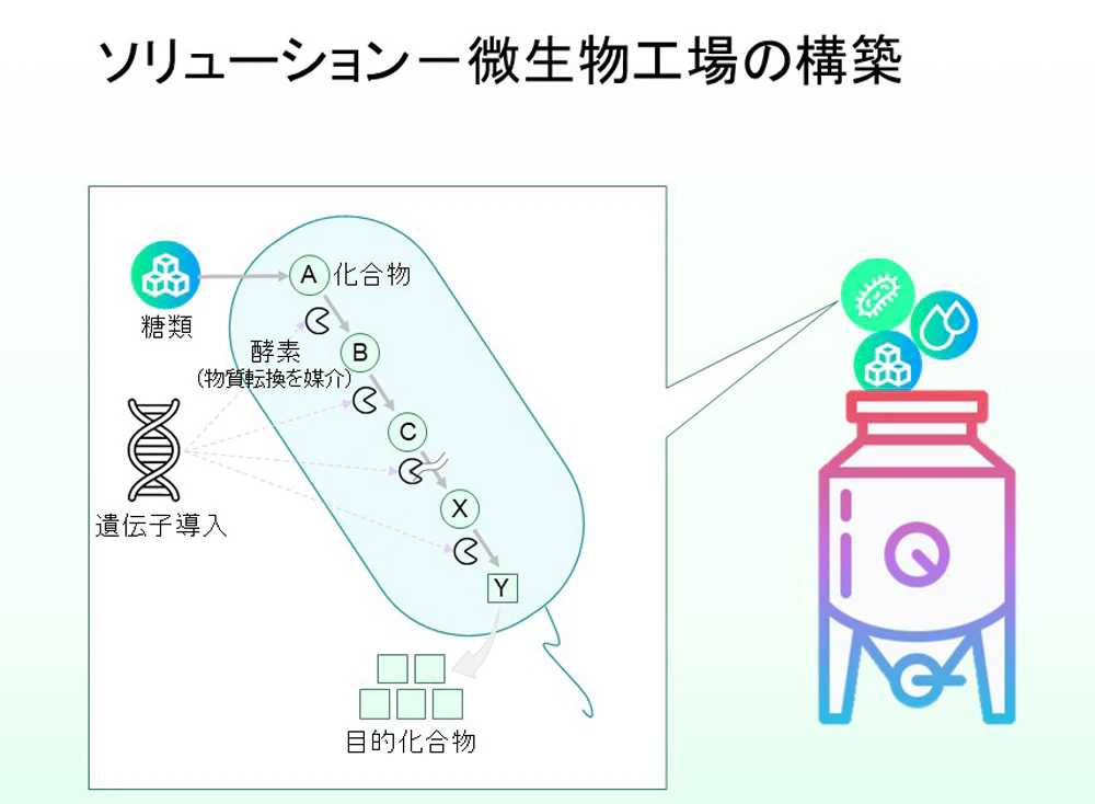 ファーメランタ 微生物工場の構築
