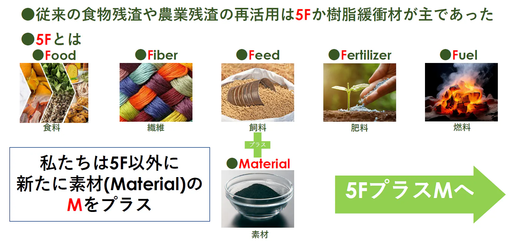 5F 図、画僧