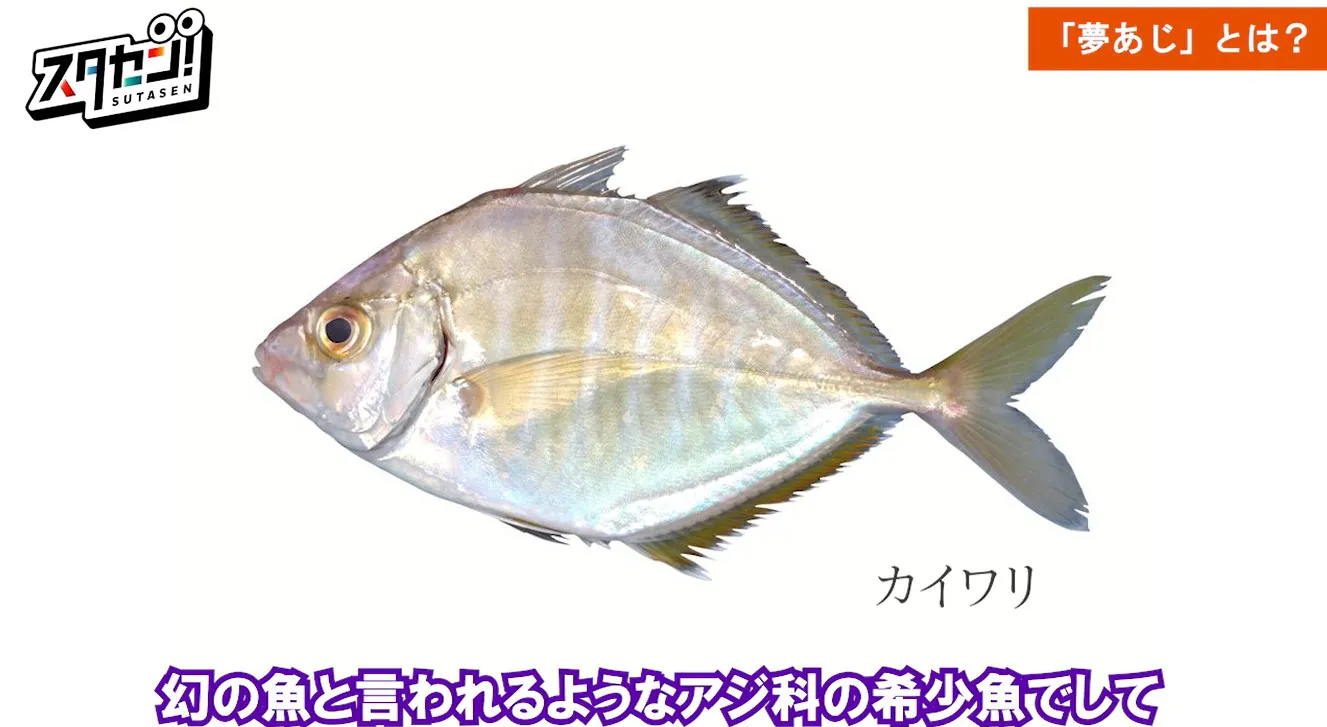 幻の魚カイワリ