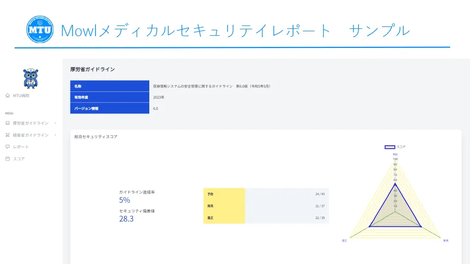 メディカルセキュリティレポートのサンプル