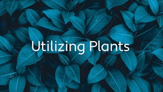 植物を活用した製品を開発するスタートアップ6選