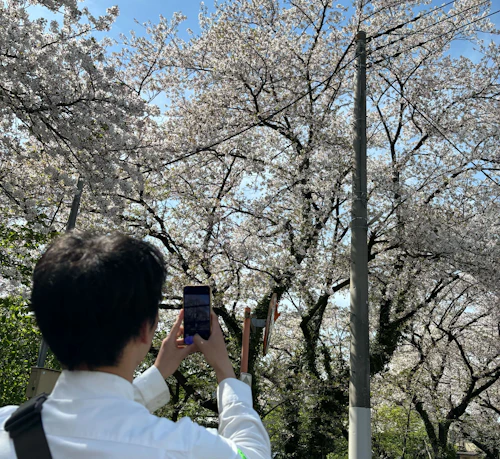 電柱の写真を撮っている様子