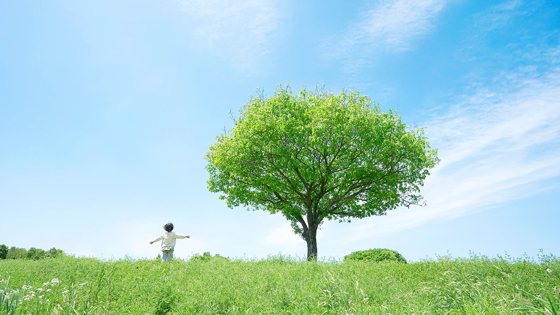 イーセップ、シリーズAで4.3億円を調達──ナノセラミック分離膜でカーボンニュートラル技術の社会実装を加速