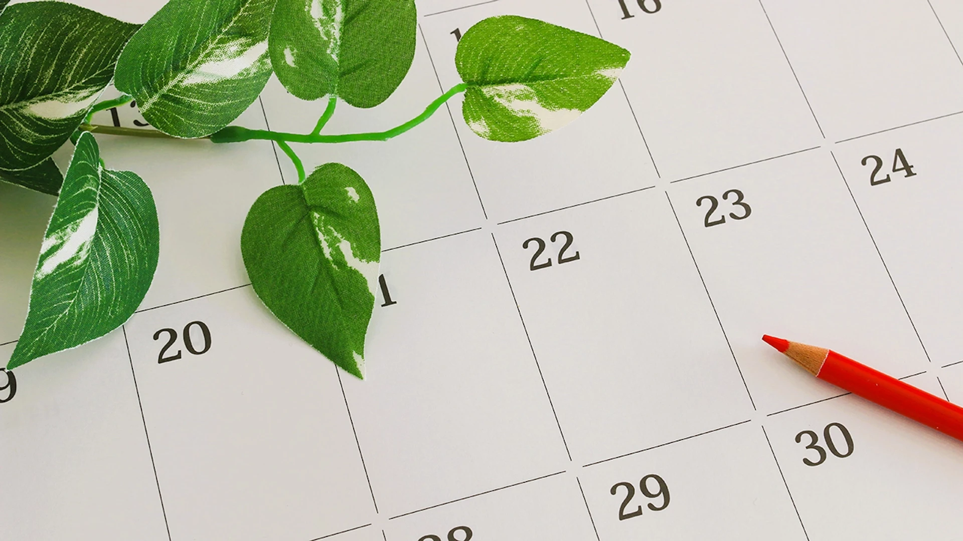 TimeTree、シリーズFで約16億円を調達──SK Telecomと提携しAI機能強化・海外展開を加速