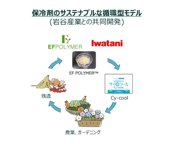 EFポリマーを利用した保冷材のサステナブルな循環型モデル