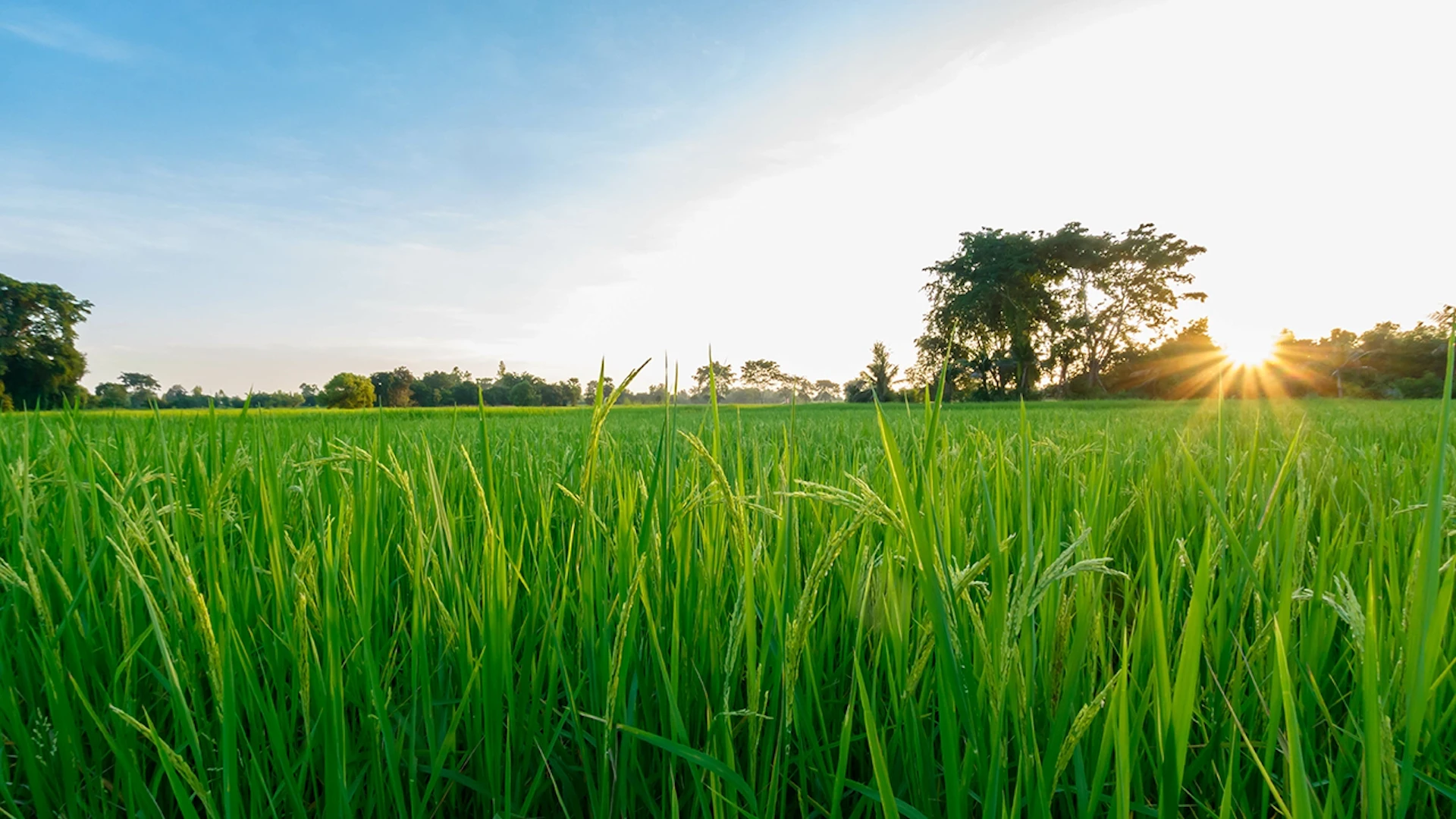 EF Polymer、シリーズBファーストクローズで10億円を調達──非農業分野への展開も加速