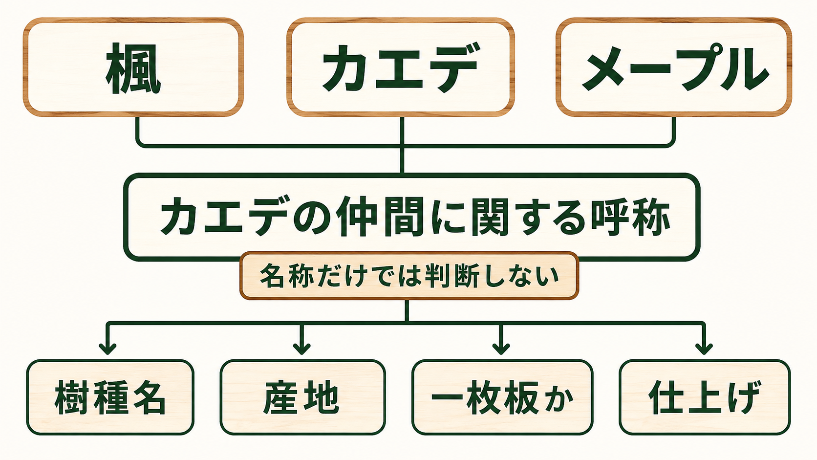 楓、カエデ、メープルは広い呼称であり、購入時には具体的な樹種名や産地を確認する必要があることを示した関係図