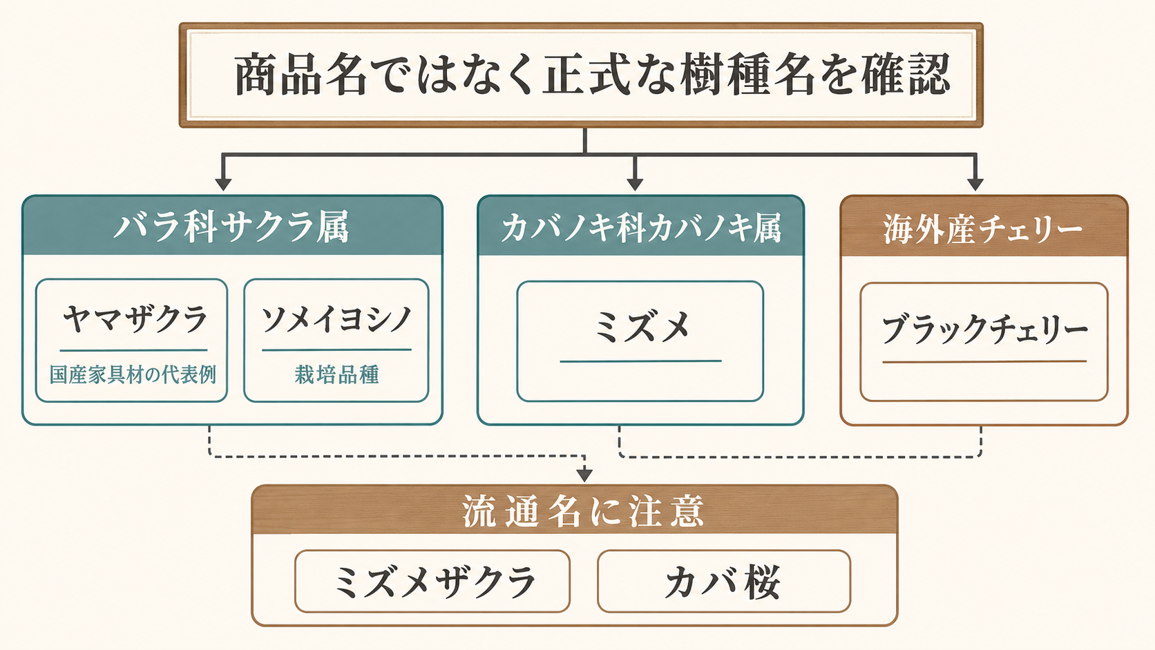 ヤマザクラとソメイヨシノはサクラ属、ミズメはカバノキ属であることを整理した分類図