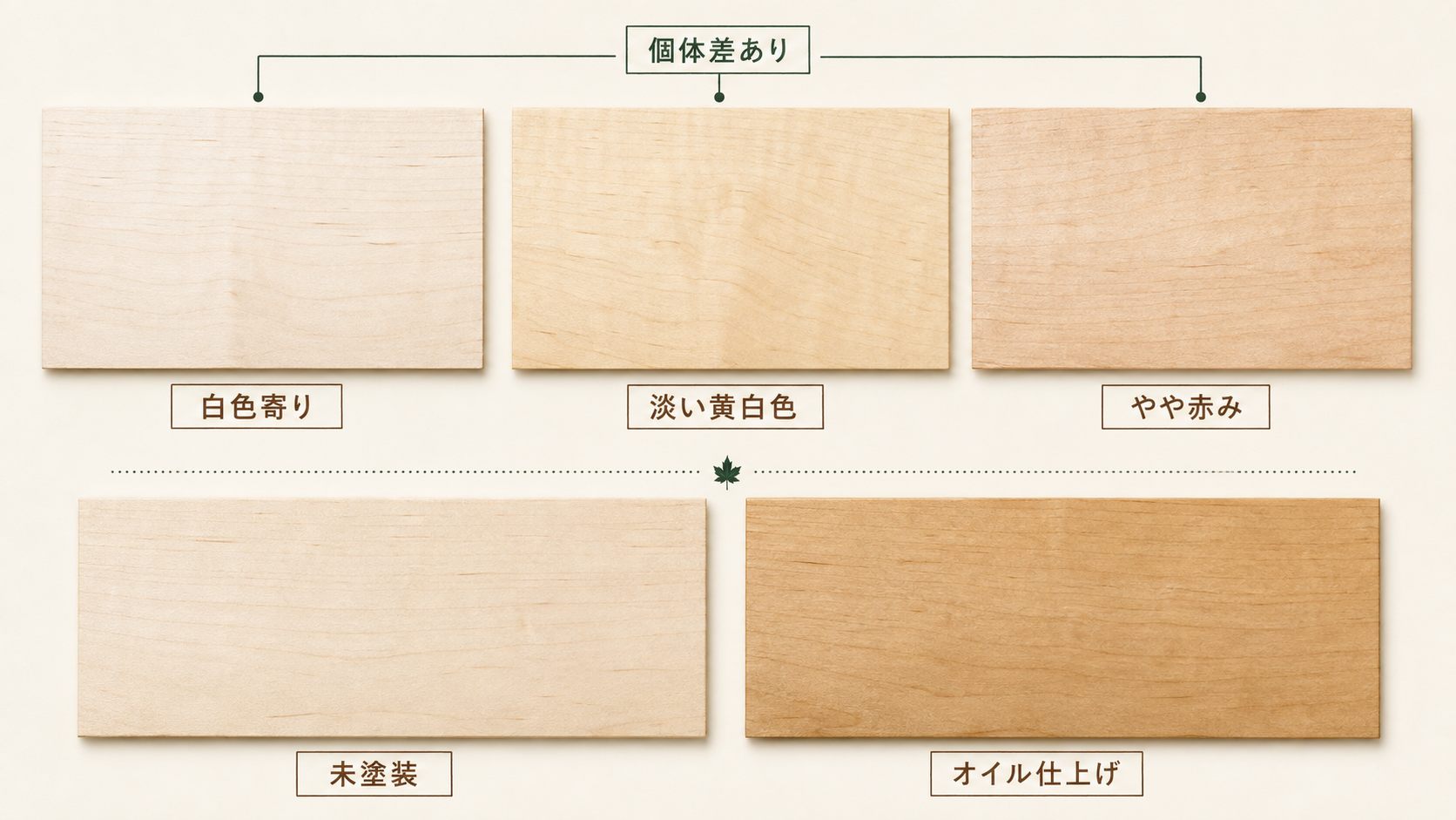 楓材の白色から淡い黄白色、赤みを帯びた色の個体差と、未塗装・オイル仕上げの見え方を比較した図