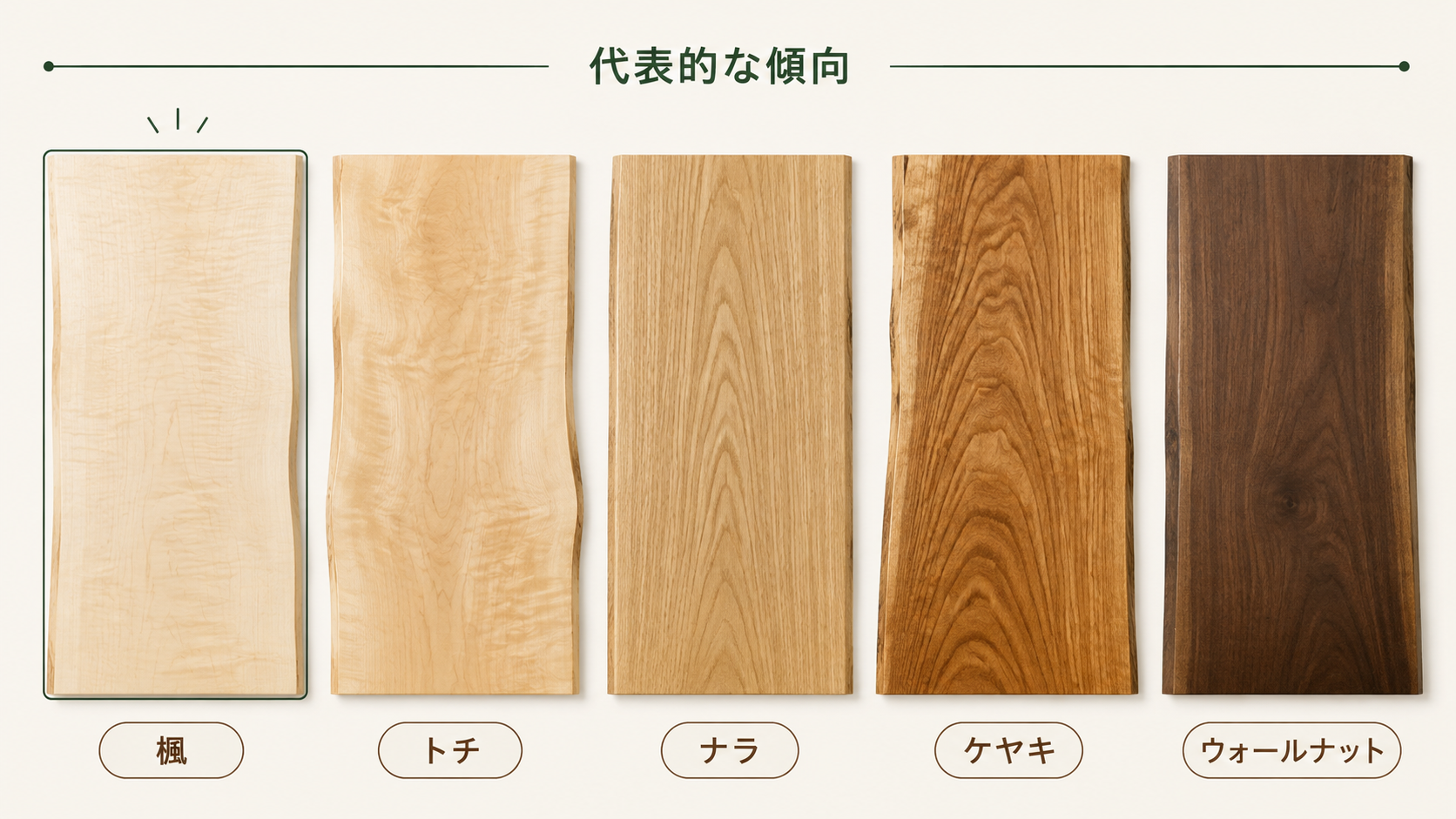 楓、トチ、ナラ、ケヤキ、ウォールナットの代表的な色と木目の傾向を同条件で比較した図