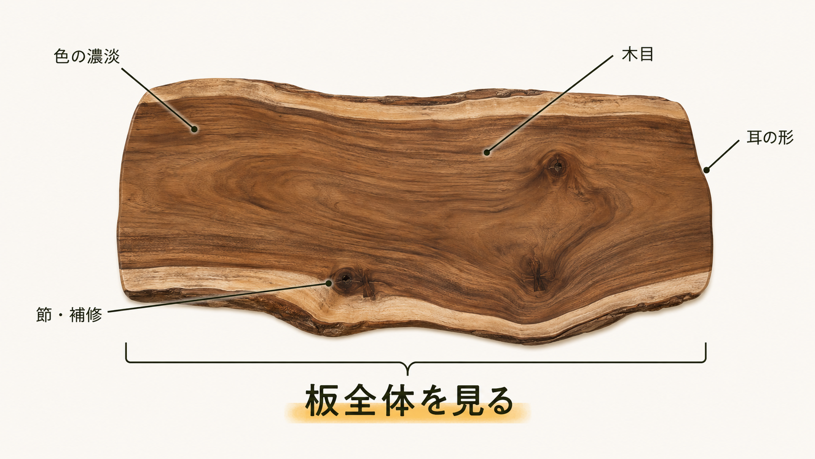 モンキーポッド一枚板の全体を示し、色の濃淡、木目、自然な耳、節や補修箇所など購入時に見る位置を示した図