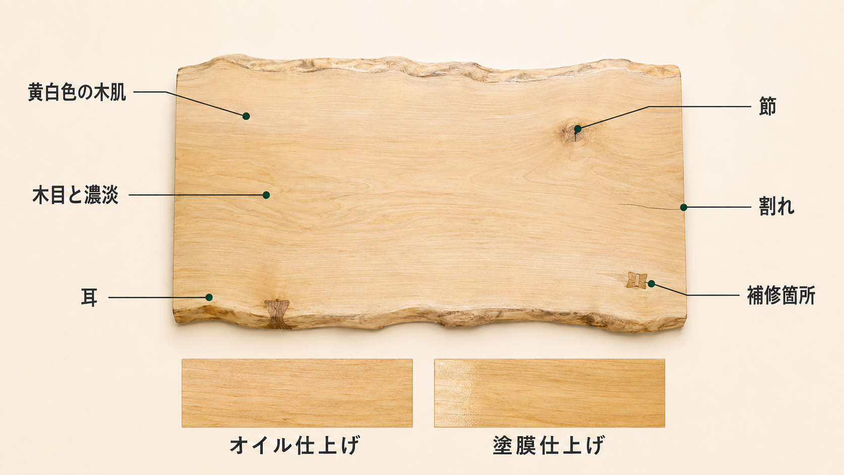 イチョウ一枚板の木目や耳、節の確認ポイント