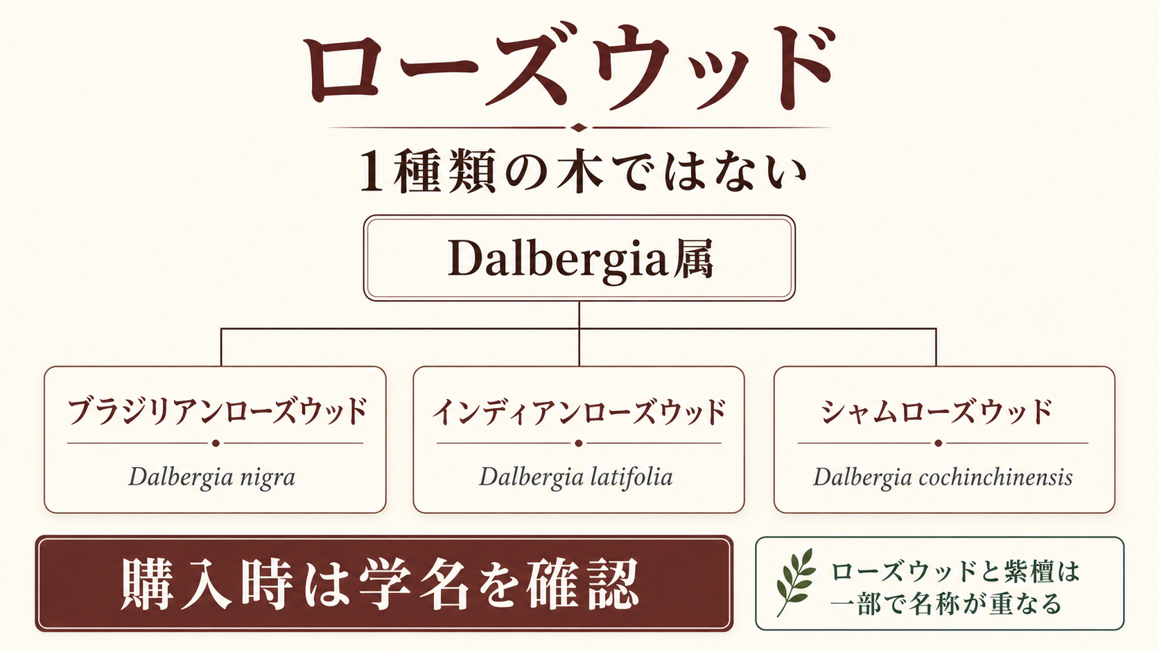 ローズウッドという名称の下に、ブラジリアンローズウッド、インディアンローズウッド、シャムローズウッドなど複数の樹種があることを示した分類図