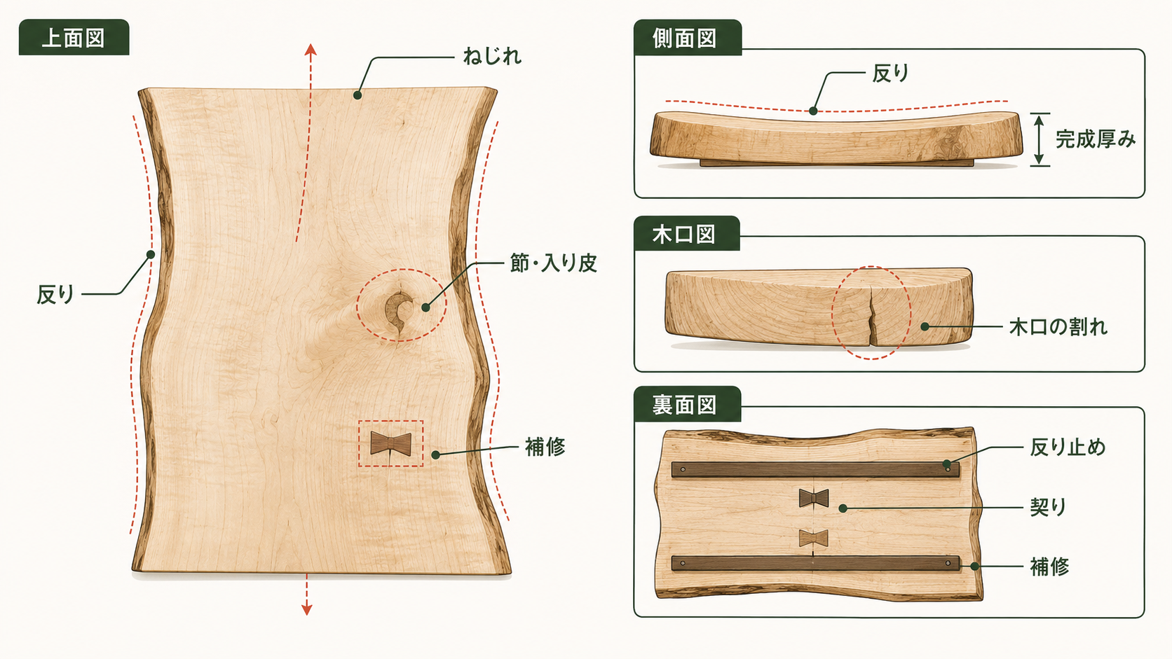 一枚板を上面、側面、木口、裏面から見て、反り、ねじれ、割れ、補修、反り止め、完成厚みを確認する位置を示した図