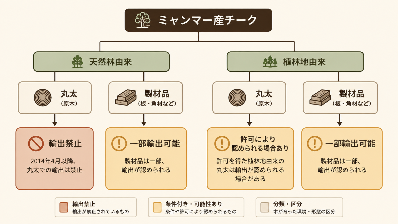ミャンマー産チークについて、天然林由来か植林地由来か、丸太か製材品かによる輸出時の扱いを示した条件分岐図