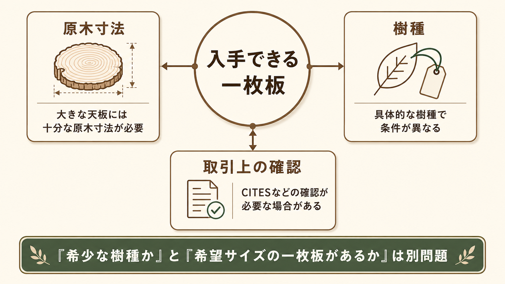 大型原木の寸法、具体的な樹種、CITESなど取引上の確認が一枚板の入手性に関係することを示した図