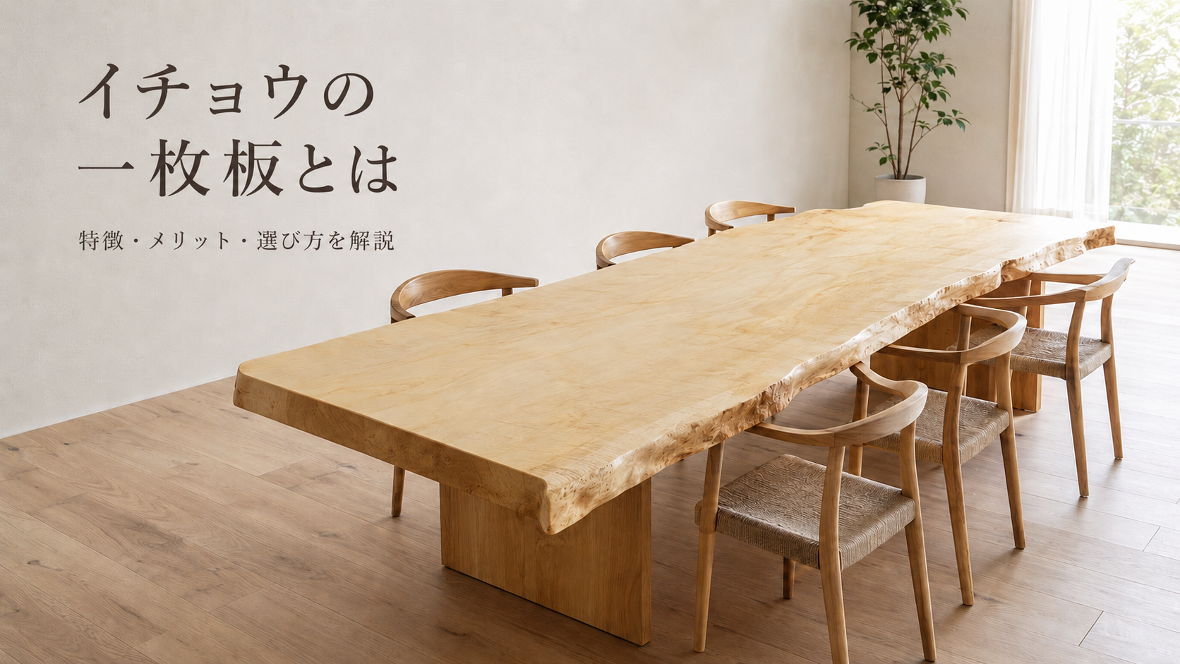 イチョウ木材の特徴とは？一枚板テーブルの魅力・注意点・選び方