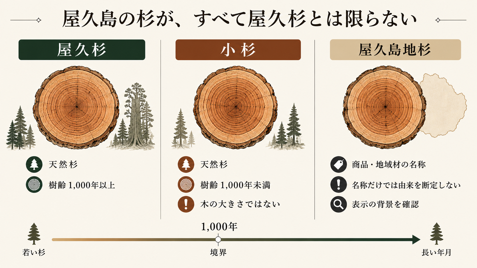 屋久杉、小杉、屋久島地杉の定義と違いを整理した比較図