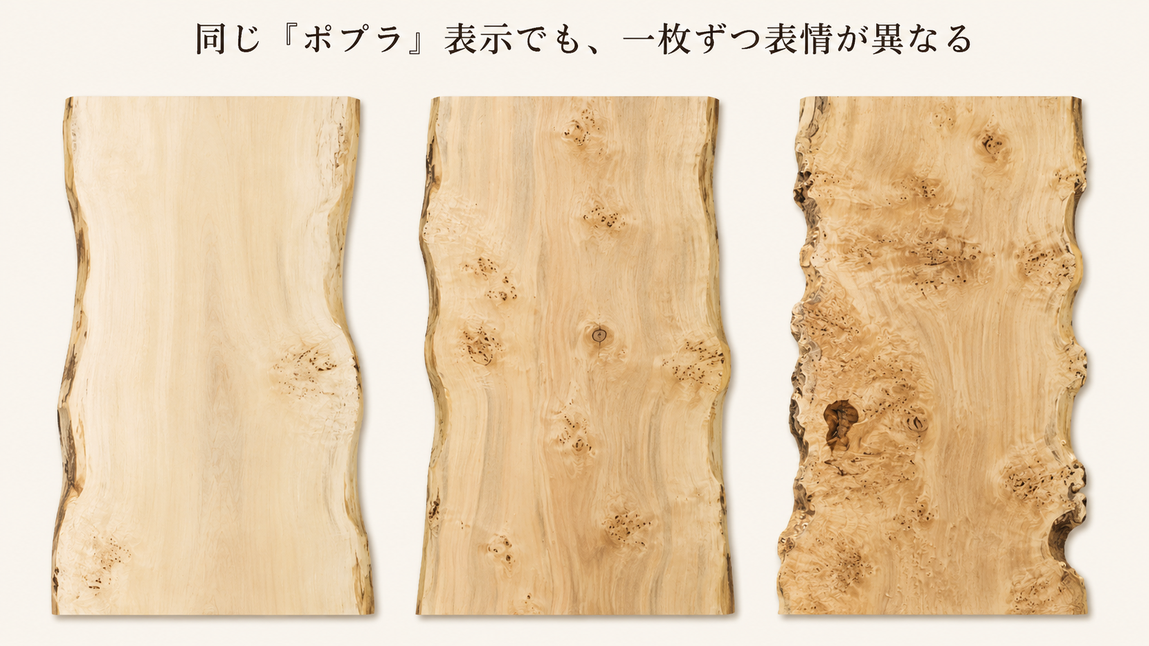 同じポプラ表示でも色、木目、節、耳の形が異なる3枚の一枚板を同じ条件で比較した画像 poplar