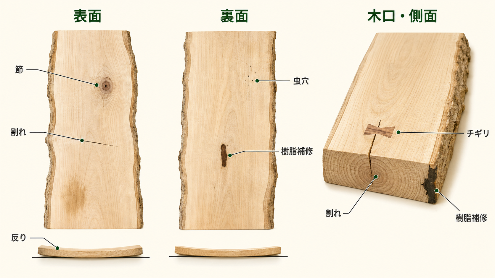 一枚板の表面・裏面・木口の確認箇所